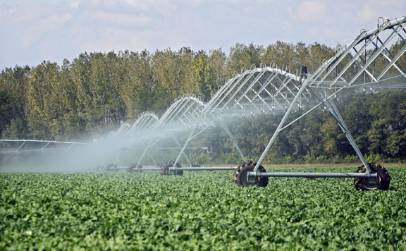 Frissítette öntözési útmutatóját az agrárkamara
