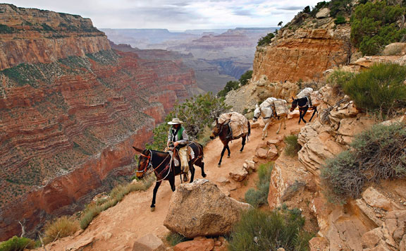 grand-canyon