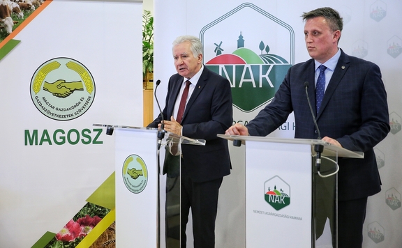 jakab győrffy