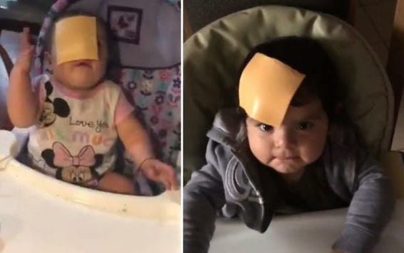 Forrás: mh sajtos lead